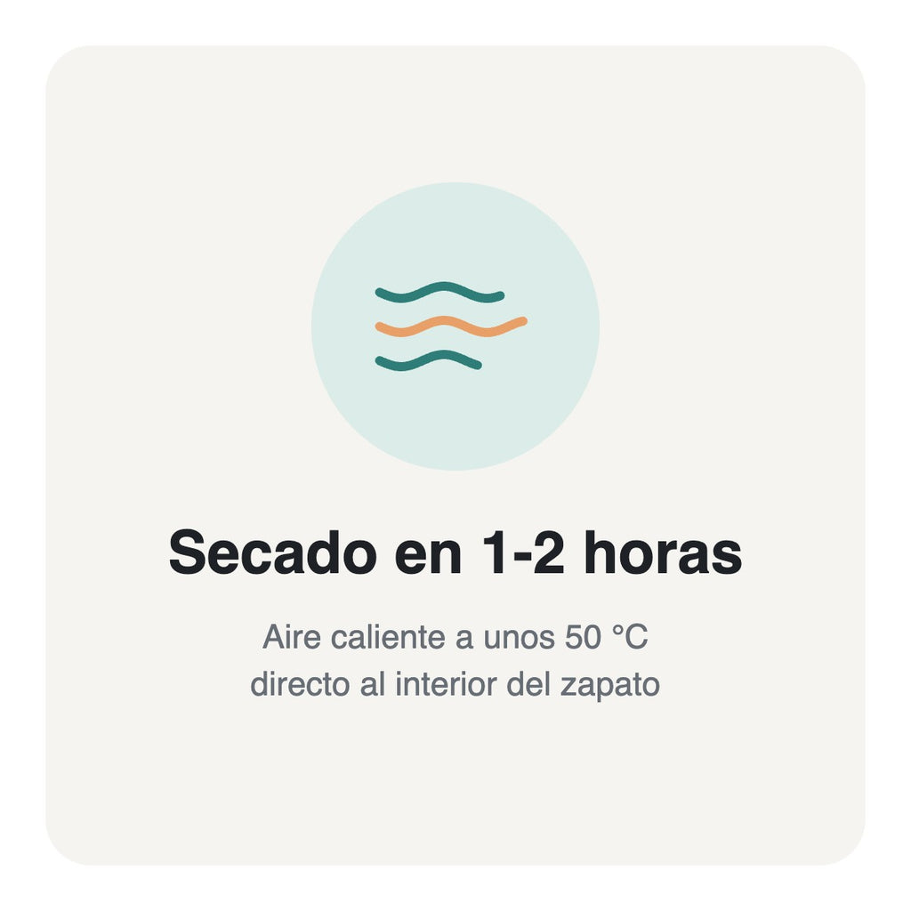 Secado en 1-2 horas con aire caliente